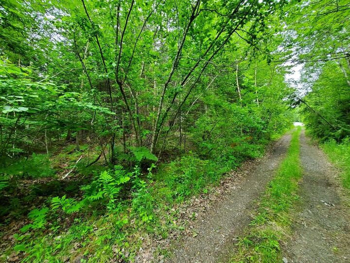 Property Photo:  0 Mill Street  ME 04668 