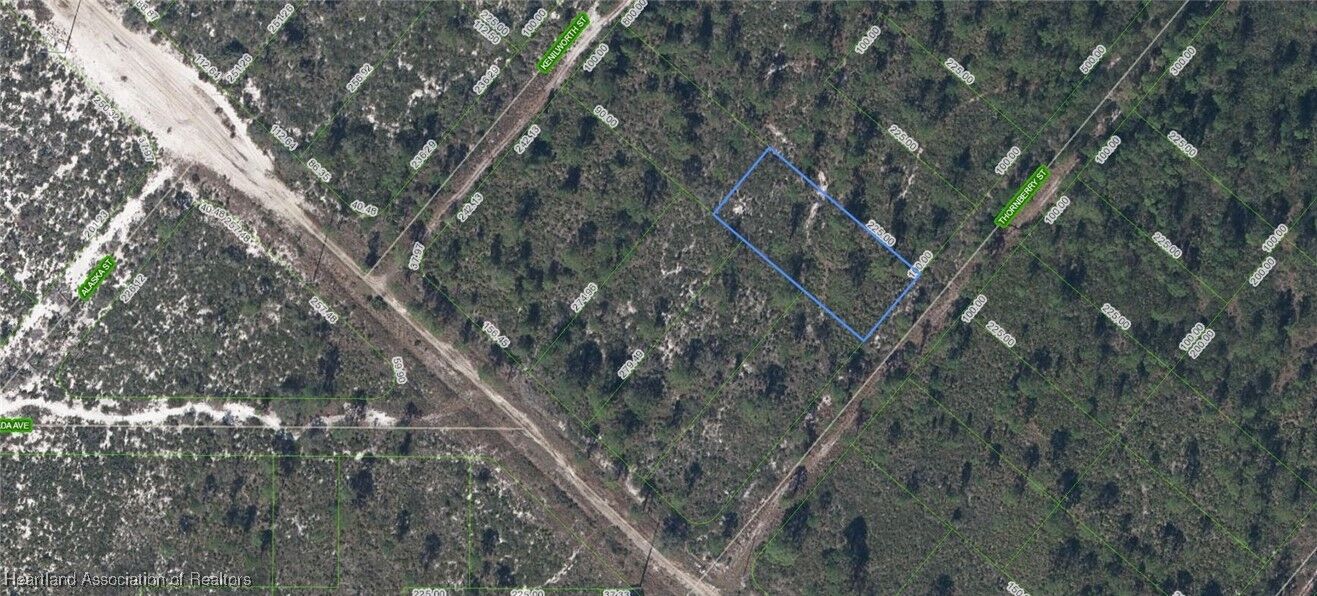 Property Photo:  604 Thornberry Street  FL 33852 