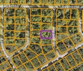 Property Photo: Lot 17 Alpaca Street FL 34291