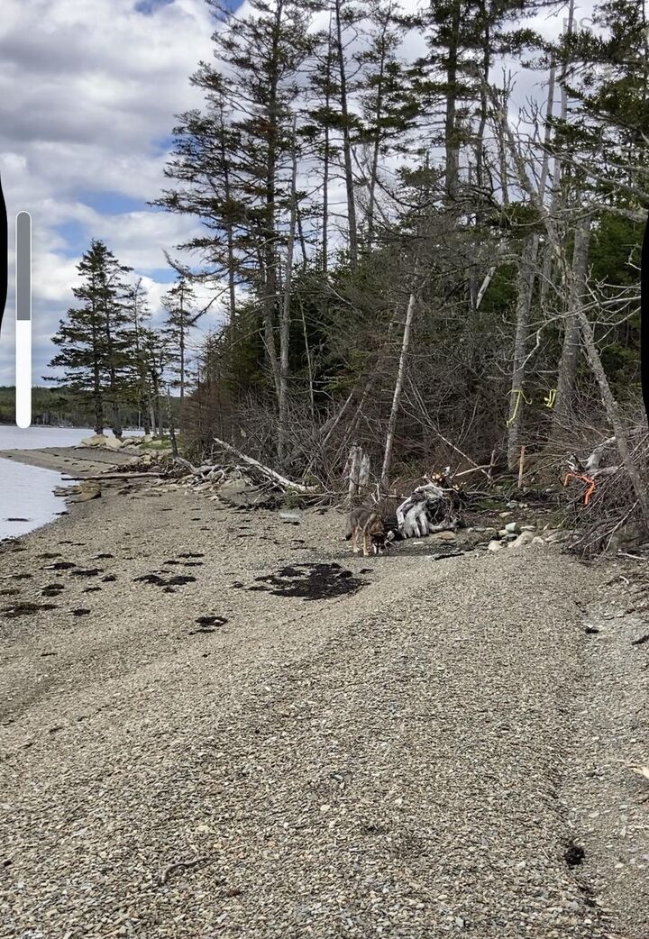 Property Photo:  Lot 21-2 West Liscomb Point Road  NS B0J 2A0 
