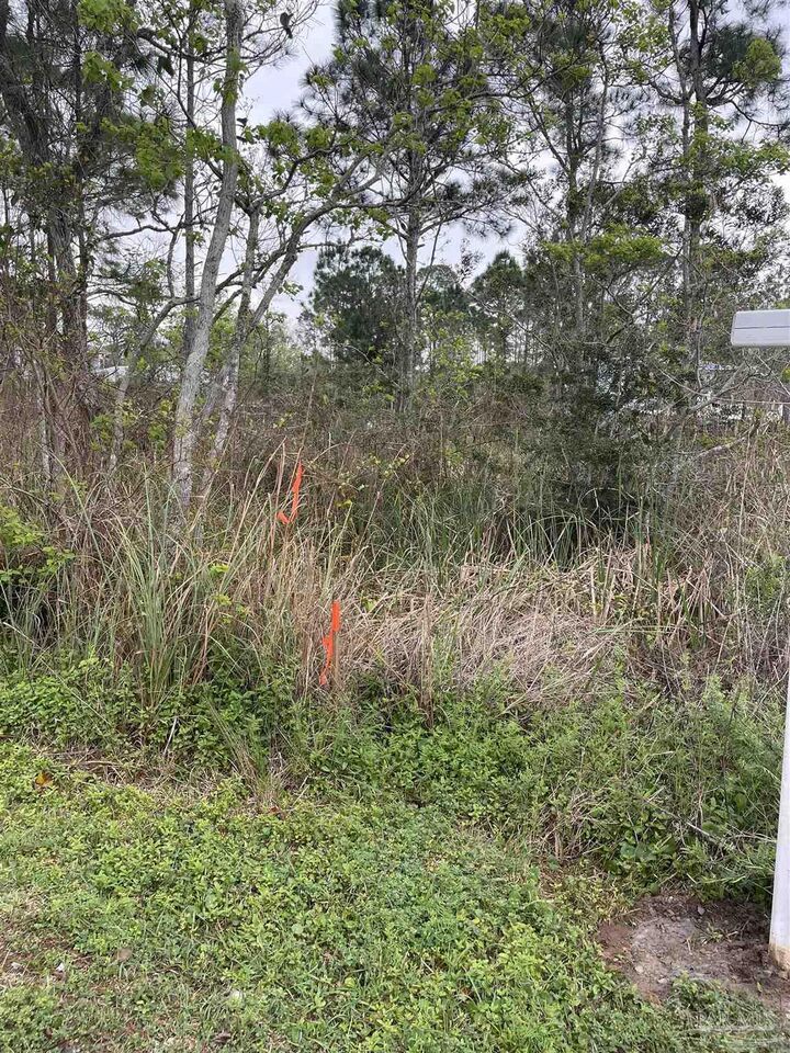 Property Photo:  5500 Blk Bob-O-Link Rd  FL 32507 