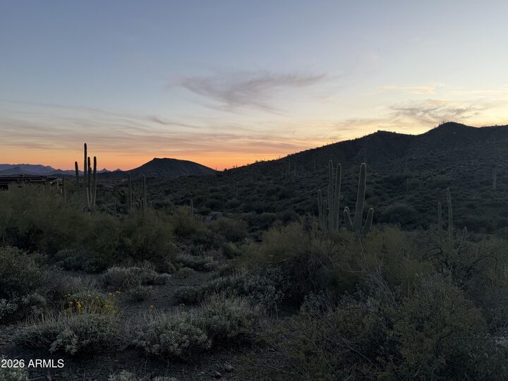 Property Photo:  42382 N Chiricahua Pass Pass 318  AZ 85262 