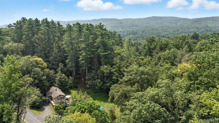 Property Photo:  265 Oakland Valley Road  NY 12729 