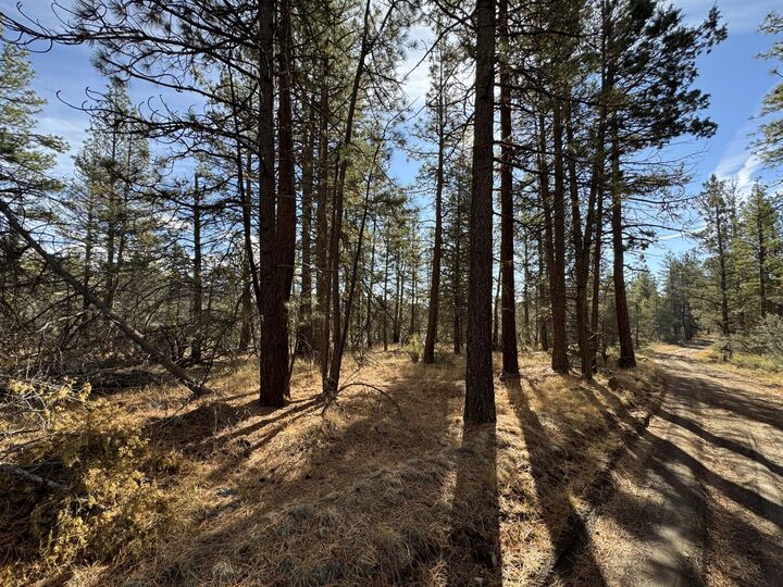 Property Photo:  0 Golden Eagle Drive 23 &Amp 24  OR 97623 