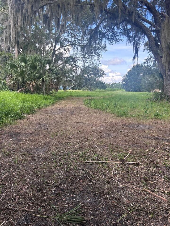 Property Photo:  Xxxx Favoretta Road  FL 32110 