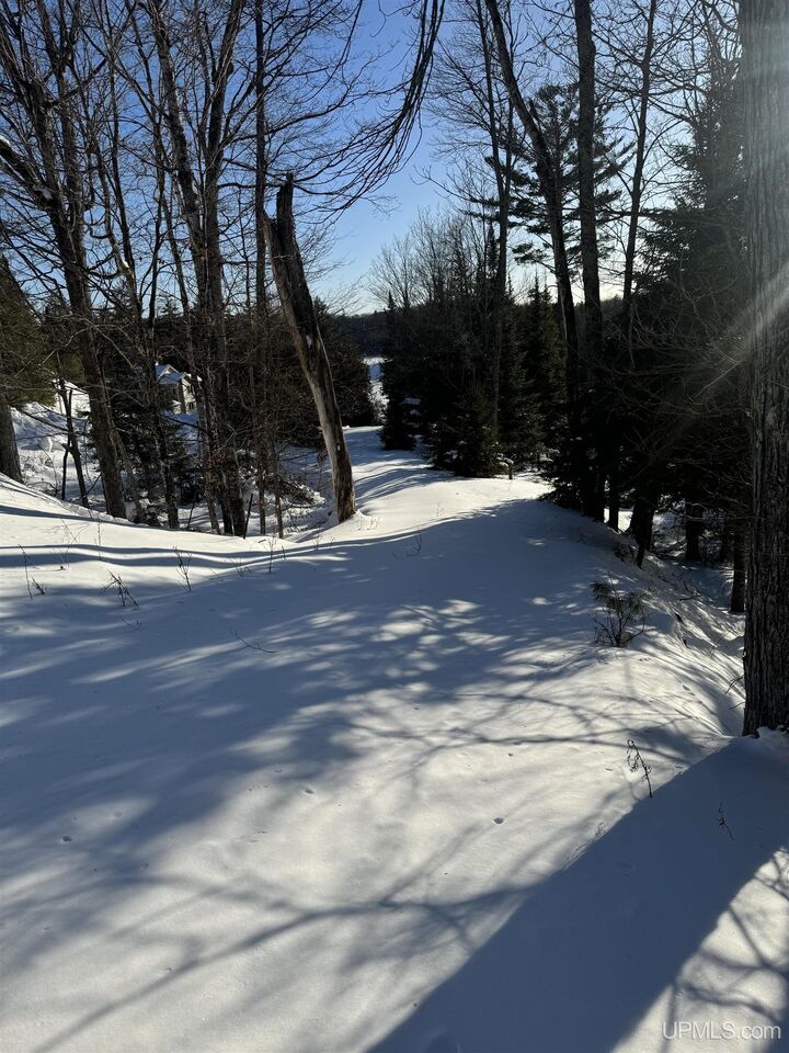 Property Photo:  Tbd Peterson Drive  MI 49801 