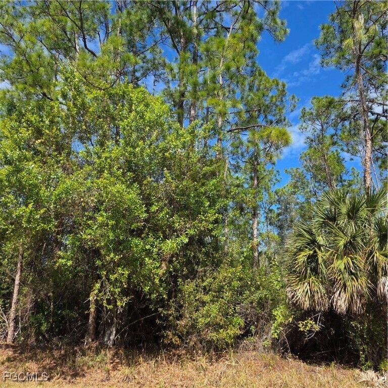 Property Photo:  47th Avenue NE  FL 34120 