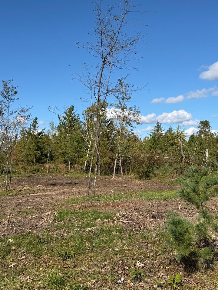 Property Photo:  Tbd Moonlight Lane SW  MN 56601 