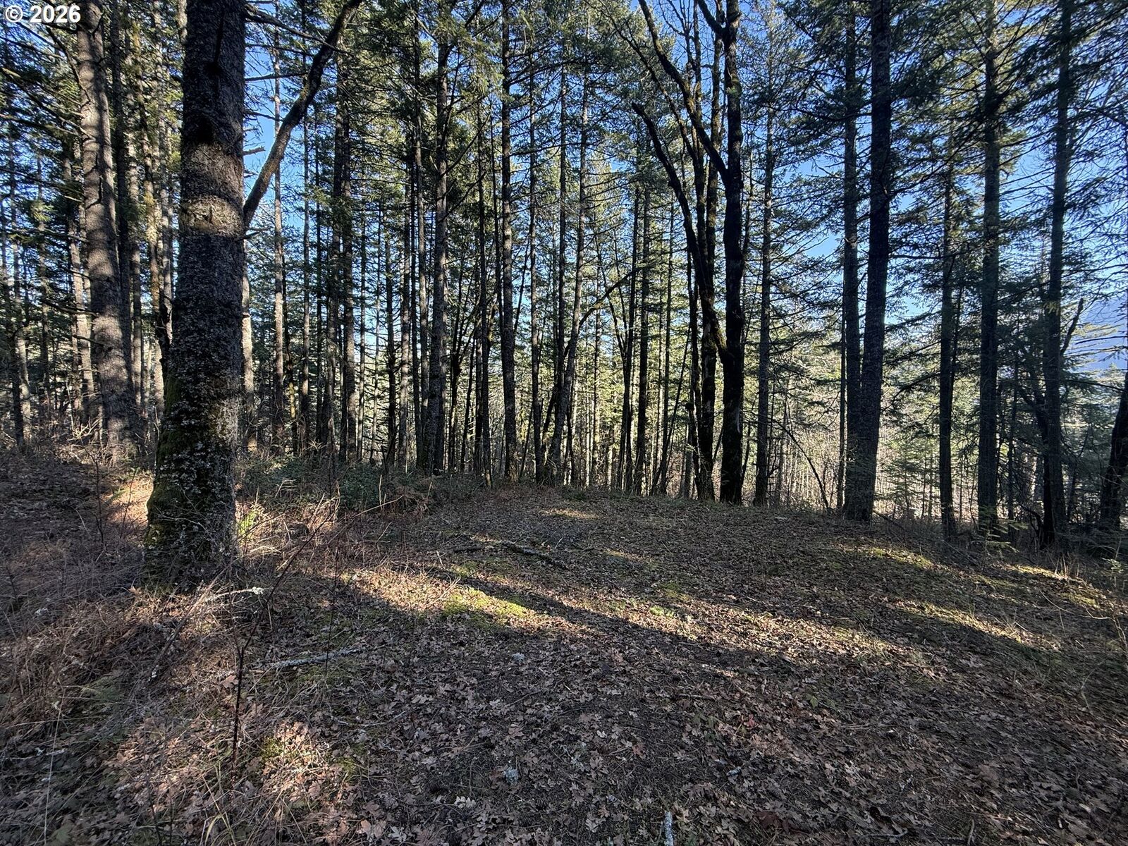 Property Photo:  Seward Rd  WA 98610 