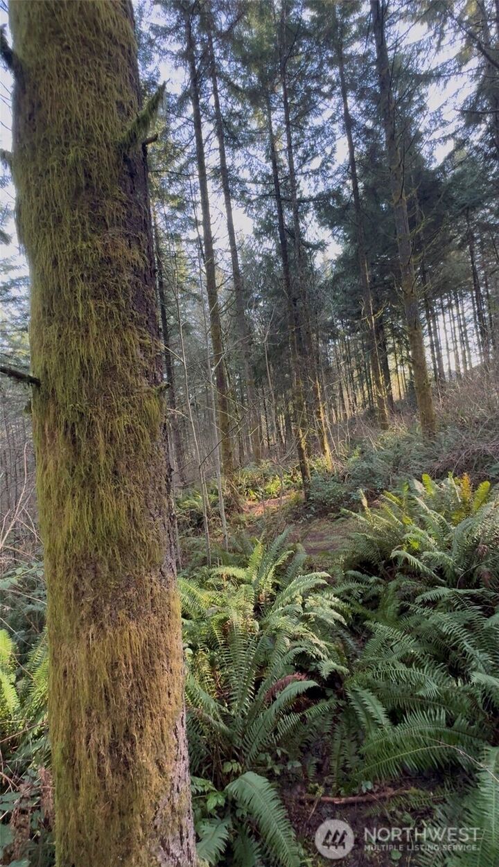 Property Photo:  0  Seminary Hill Road  WA 98531 