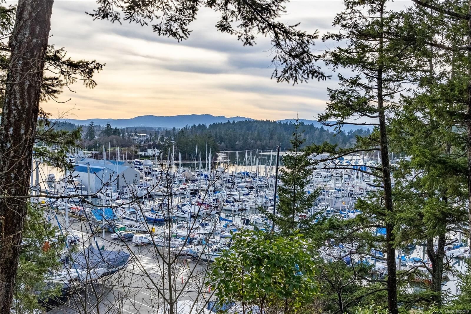 Photo de la propriété: 11064 Kittiwake Pl BC V8L 5J3