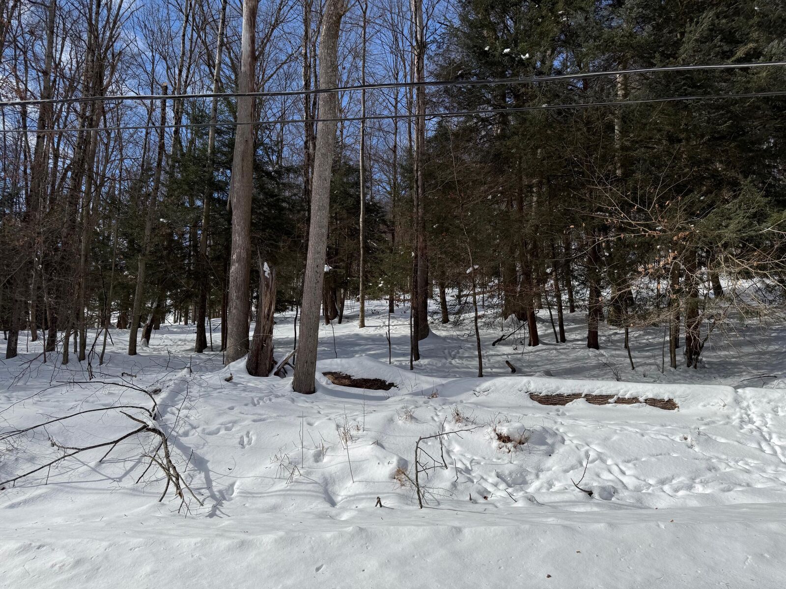 Property Photo: 25 Woolendean Rd PA 15801