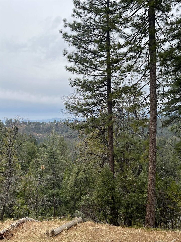 Property Photo:  19262 Tanglewood Trl.  CA 95383 