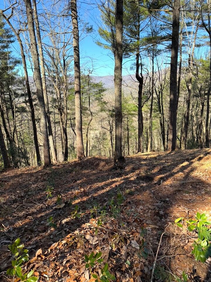 Property Photo:  Lot 8 Top Horseshoe Ridge  NC 28906 