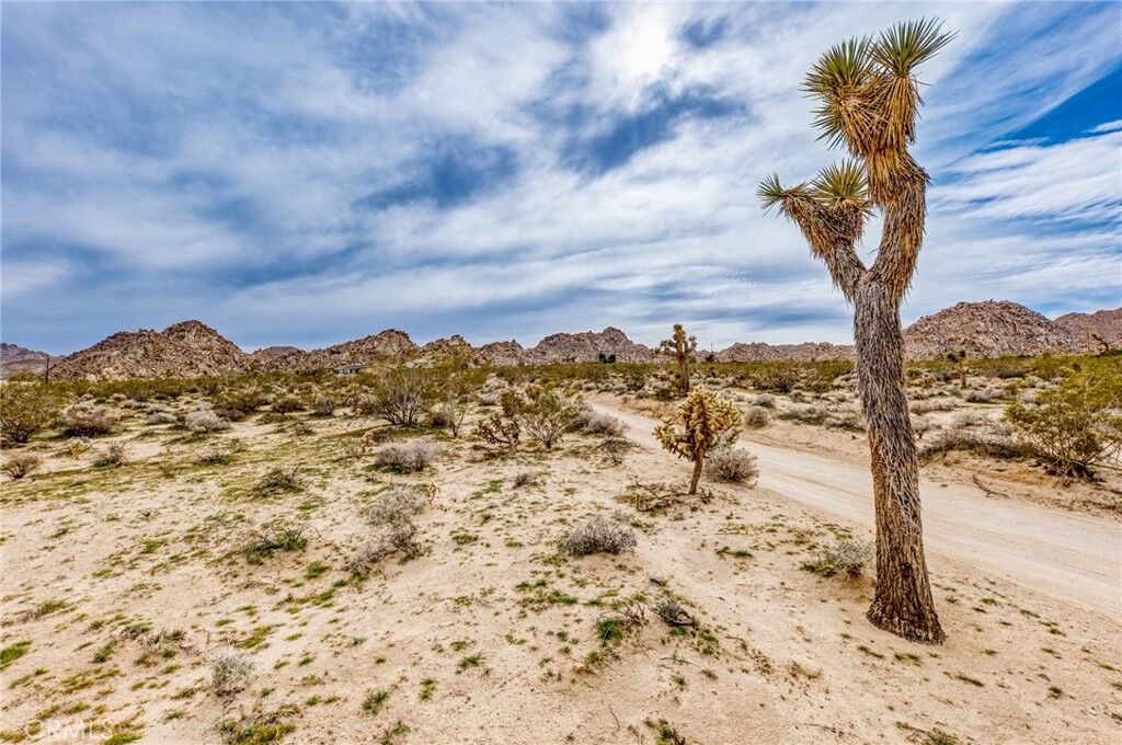 Property Photo: 130 Rd Hollinger CA 92252