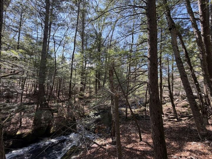 Property Photo: 00 John Stark Highway NH 03773