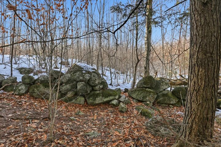 Property Photo:  Tax Map5b Lot97 Nh Route 114  NH 03242 