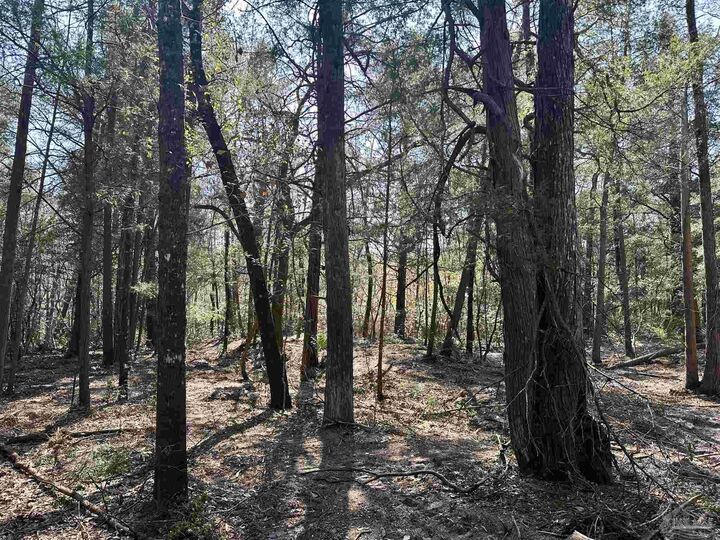 Property Photo: 3700 Vantage Rd FL 32533