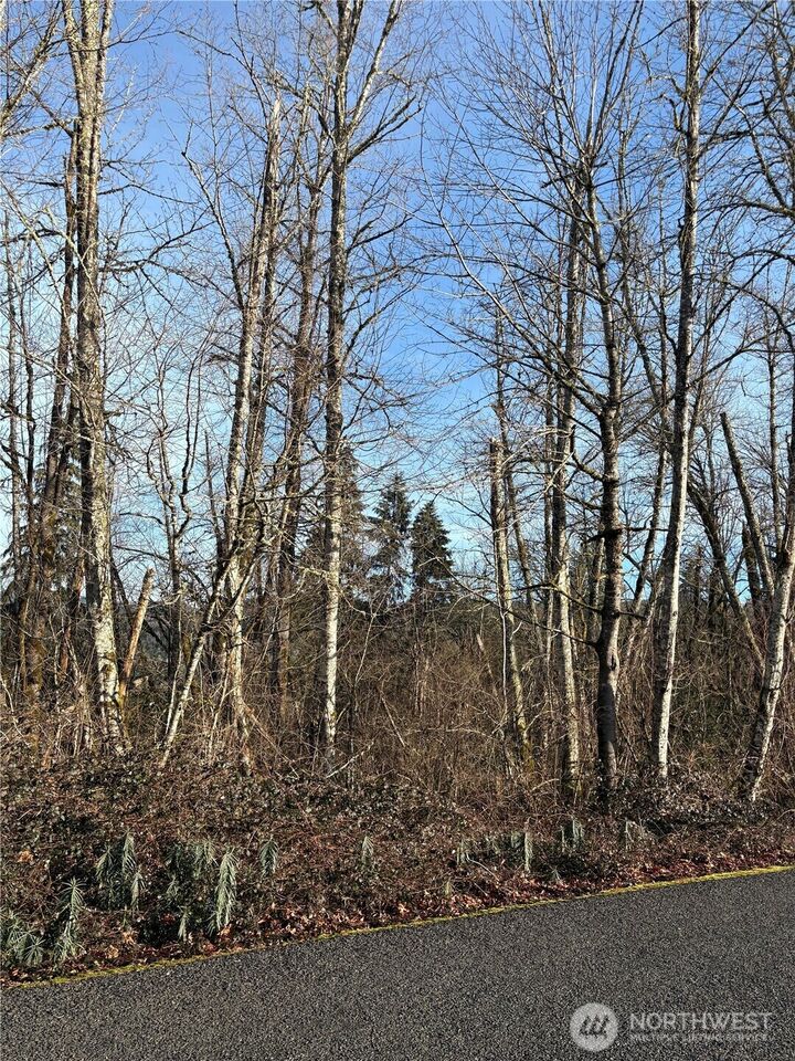 Property Photo:  128  Valley View Drive  WA 98564 