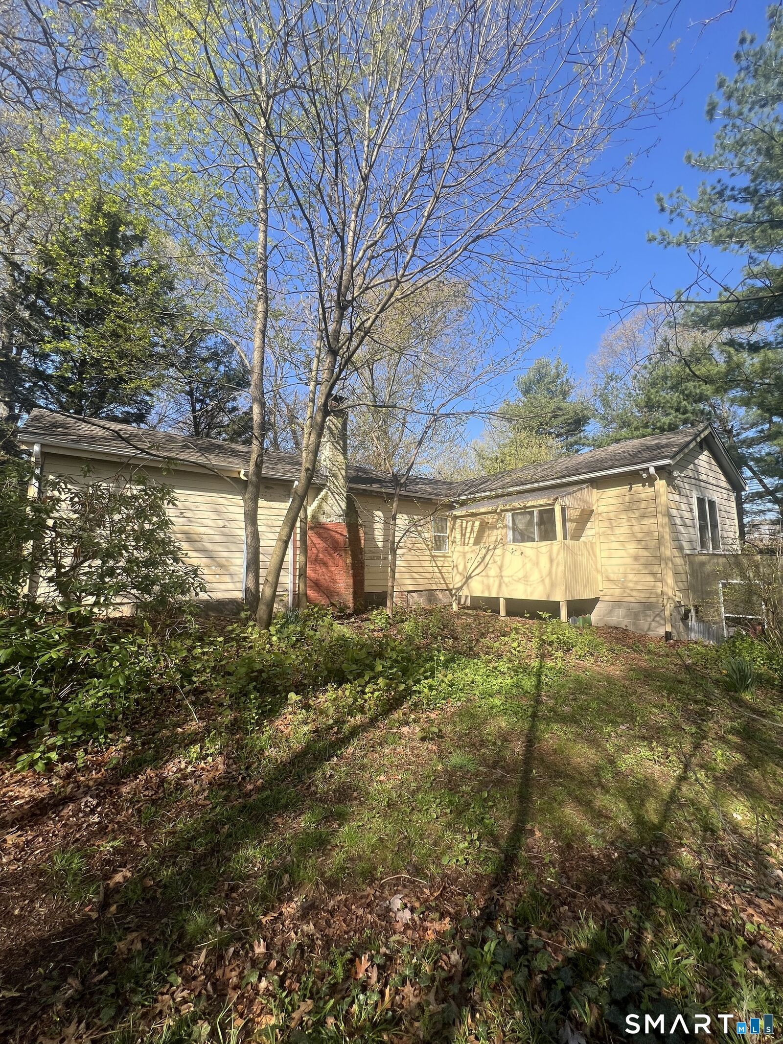 Property Photo:  51 Woody Lane  CT 06516 
