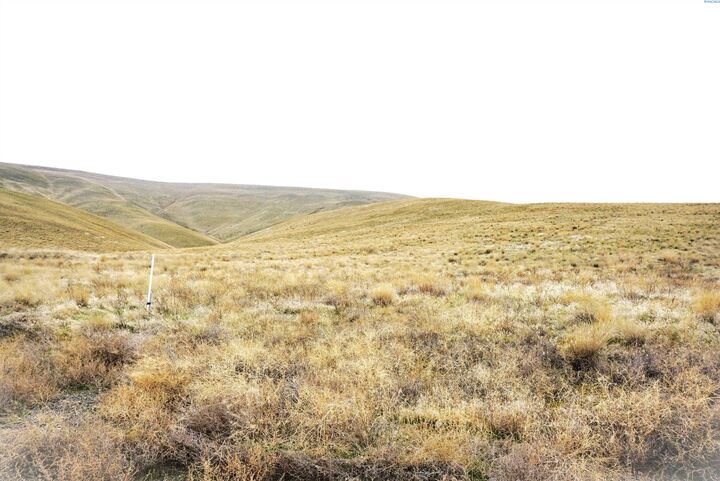 Property Photo:  3000 Nka 1545 Prsw  WA 99350 