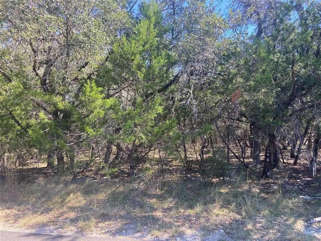 Property Photo:  21503 Santa Elena Circle  TX 78645 