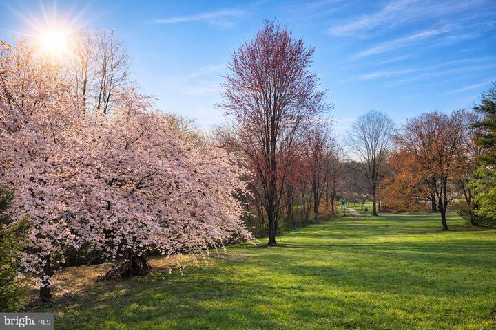 Property Photo:  6127 Donival Square  VA 22315 