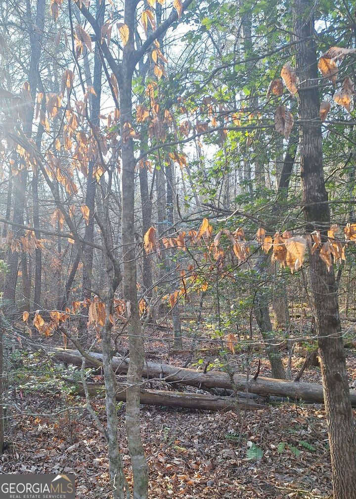 Property Photo:  0 Bent Wood Lane  GA 30513 