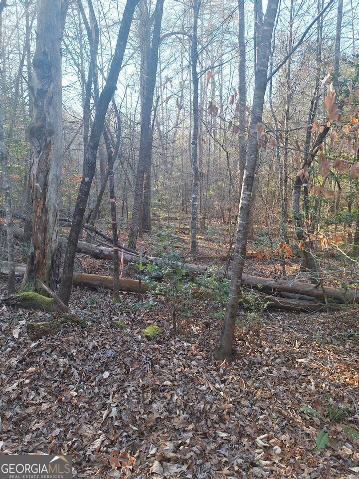 Property Photo:  0 Bent Wood Lane  GA 30513 