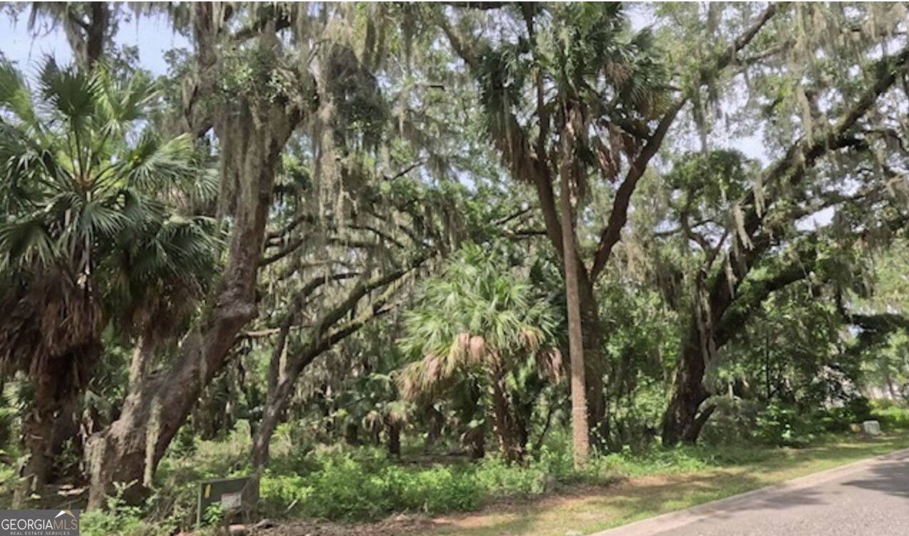 Property Photo:  919 Wagner Lane  GA 31558 