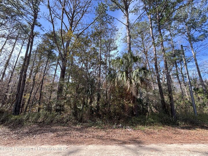 Property Photo:  Lot 12 Carolina Dove Road  FL 34614 