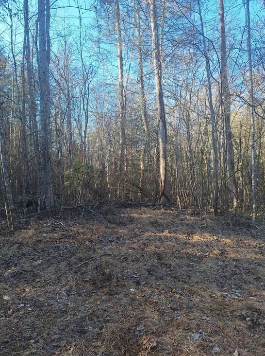 Property Photo:  Lots Bent Wood Lane  GA 30513 