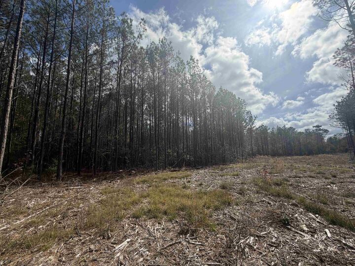 Property Photo:  Tbd Cr 721  TX 77612 