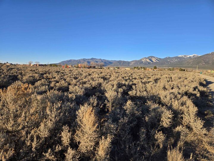 Property Photo: Lot 12 Eototo NM 87529