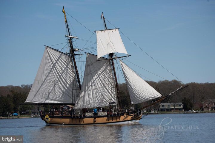 Property Photo:  107 Oak Leaf Drive  MD 21620 