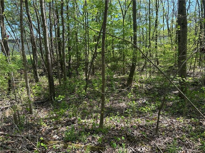 Property Photo:  0 N. 411 Hwy Highway  GA 30705 