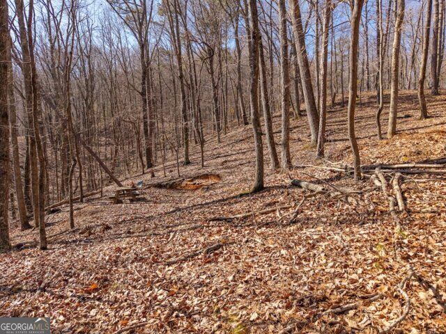 Property Photo:  1110 Mayfield Lane  GA 30734 