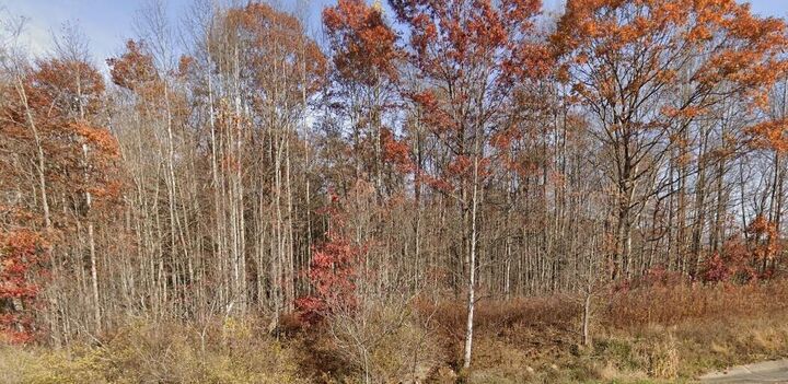 Property Photo:  Morris Branch Road  WV 25976 