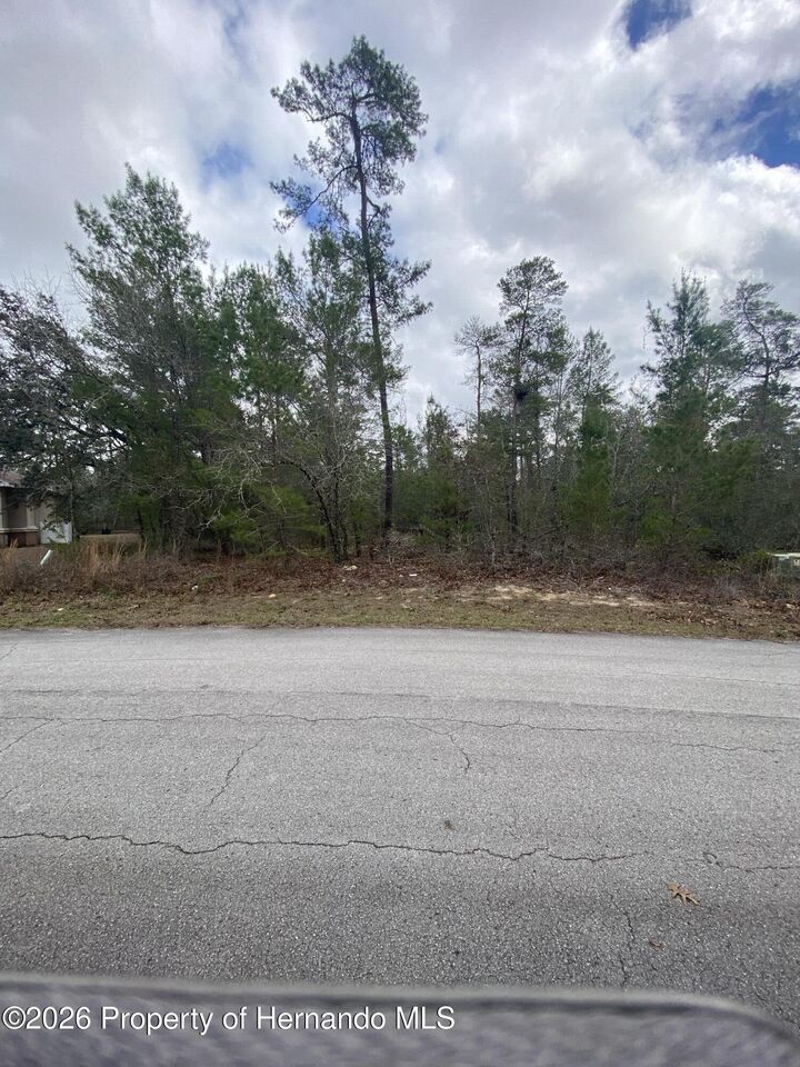 Property Photo:  34 Tall Marigolds Court  FL 34446 