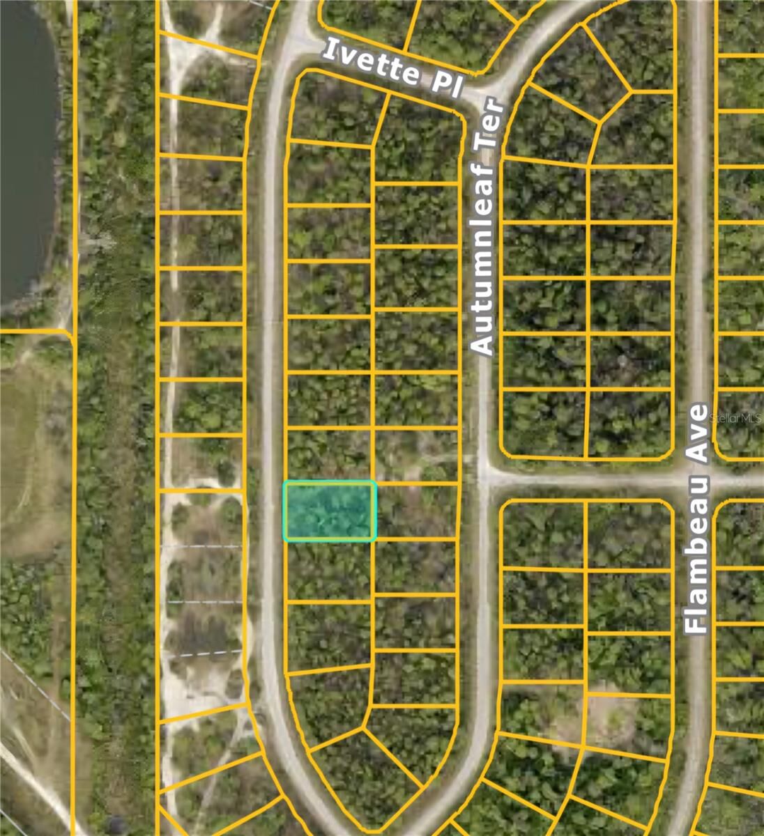 Property Photo: Blueleaf Drive FL 34288