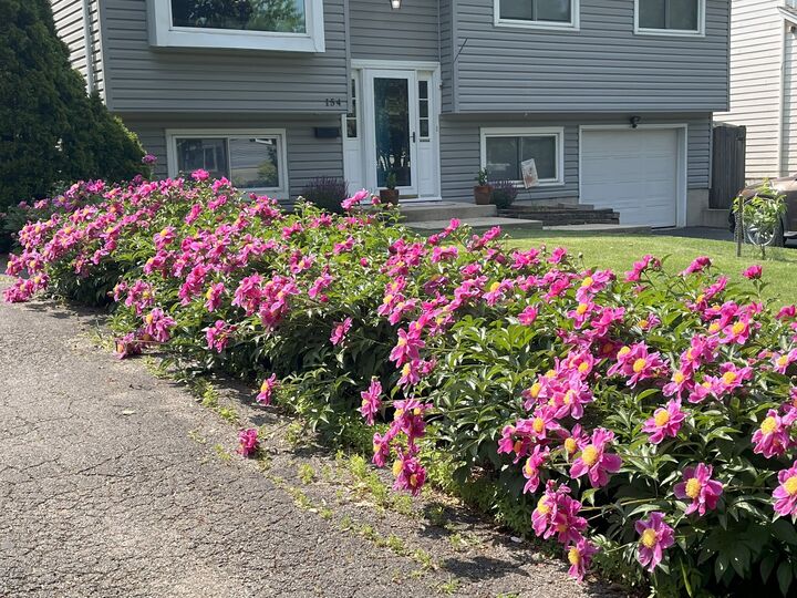 Property Photo:  154 S Ellyn Avenue  IL 60137 