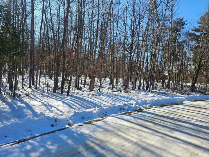 Property Photo:  Tbd Lot 6 Irene Avenue  MN 56455 