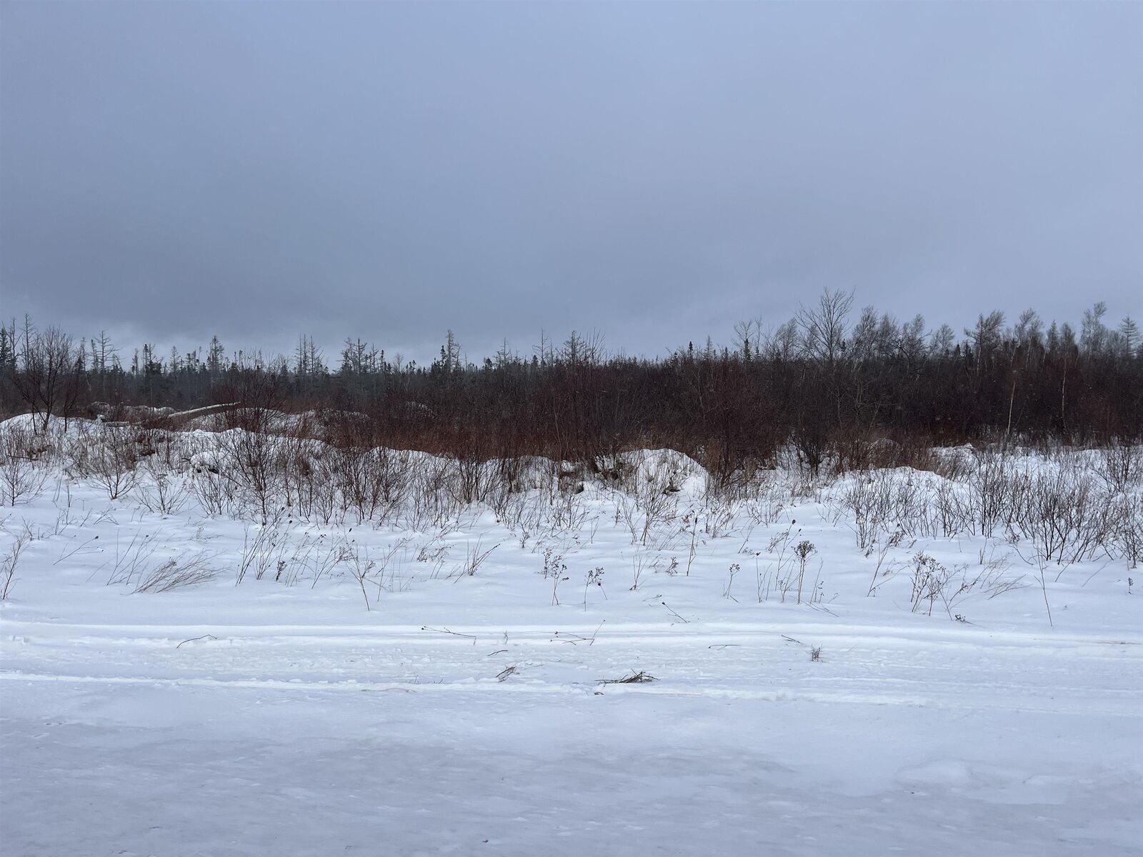 Property Photo:  Acreage Portage Road  PE C0A 1T0 