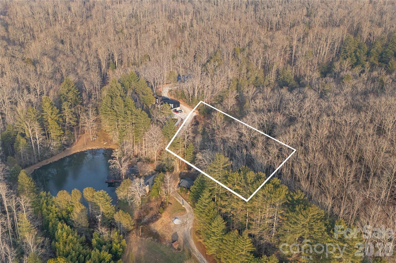 Property Photo: 0000 Red Eft Way NC 28742