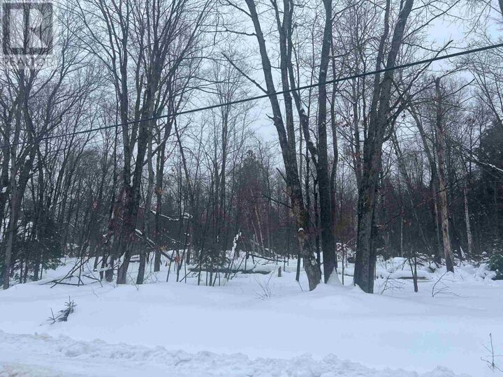 Photo de la propriété:  17 Lot D Con Canoe Point Rd  ON P0R 1G0 