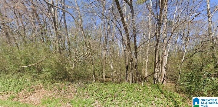 Property Photo:  612 Vann Street 1  AL 36265 