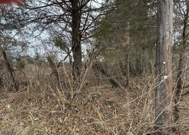 Property Photo:  23 Coddington Road  NJ 08889 