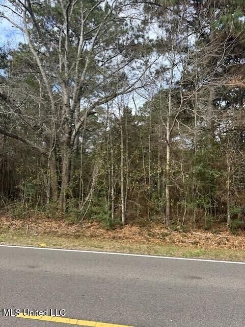 Property Photo:  Ms 53 Lot 9  MS 39503 