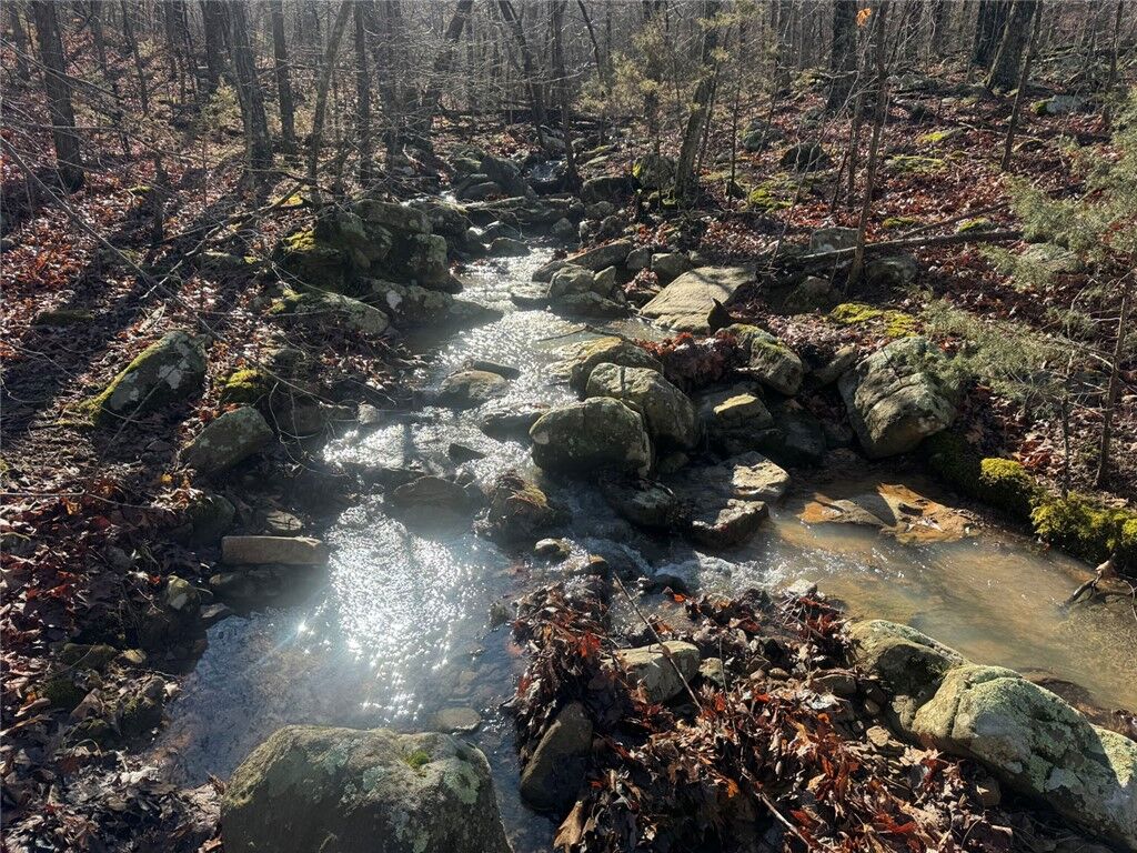 Property Photo:  Tbd 002 Plumlee Rd  AR 72611 