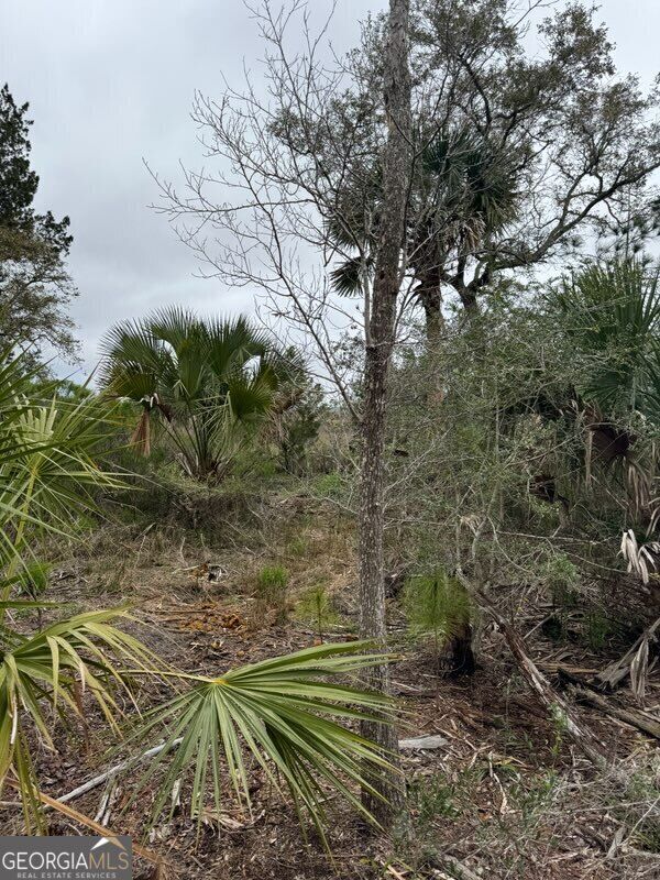 Property Photo: 311 Galley Lane V/L 794 GA 31558